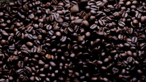 How Drinking Coffee Reduce Cancer Risk?