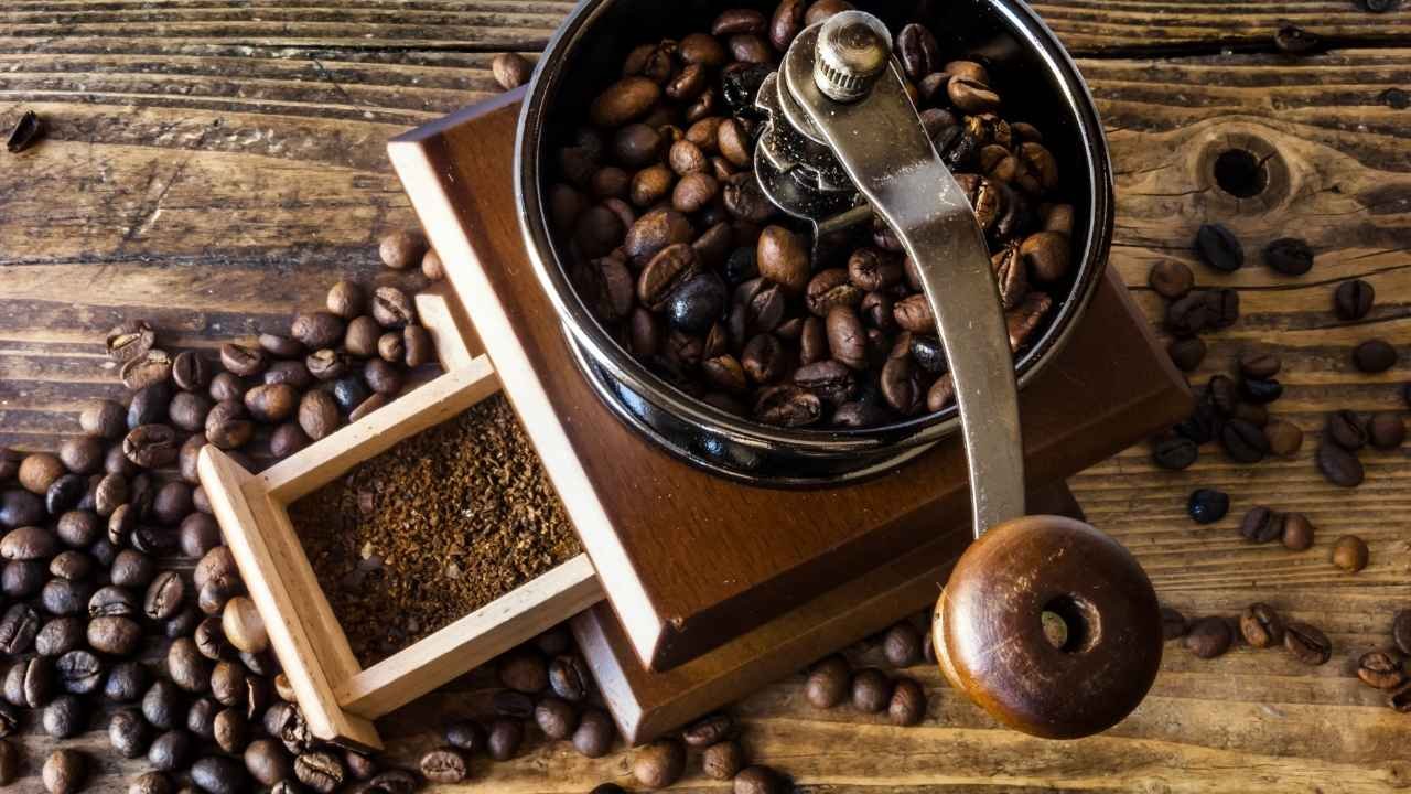 Best Coffee Grinders for Every Budget & Brewing Method